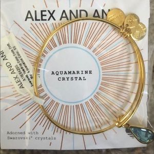 Aquamarine Crystal - Alex and Ani